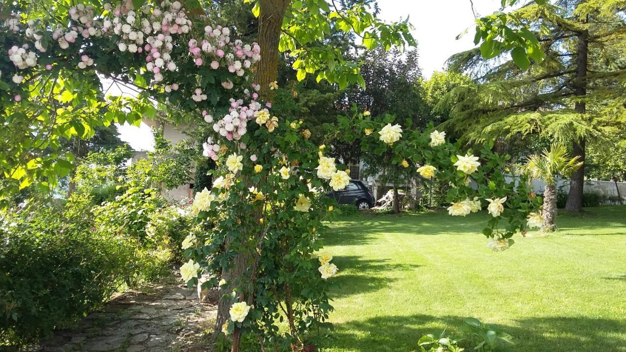 B&B Casa Di Laura Bénévent Extérieur photo
